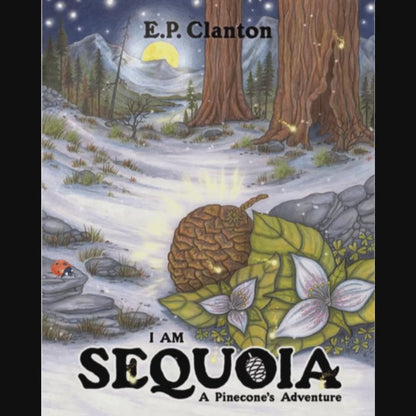 1. Enhanced Audiobooks - Illustrated books with Audio Description and Human Narration